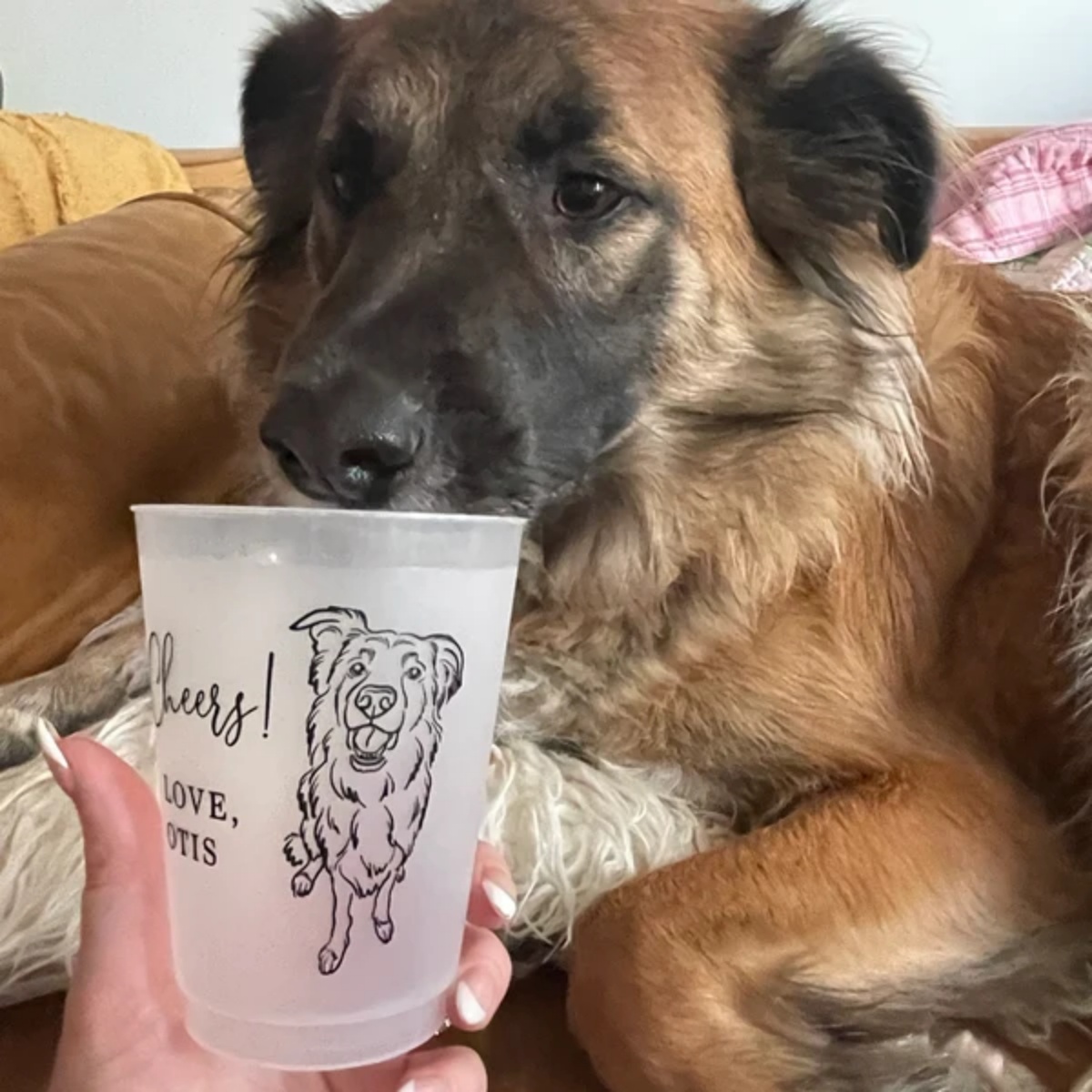 10/50 Gepersonaliseerde bekers - Plastic Cup 50Pcs recensie en prijs